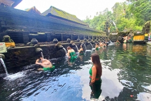 Bali: Ubud Day Tour with Swing and Zipline