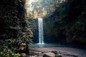 Bali: Ubud Day Tour with Swing and Zipline