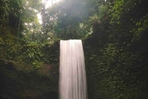 Bali: Ubud Day Tour with Swing and Zipline