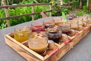 Bali: Ubud Day Tour with Swing and Zipline