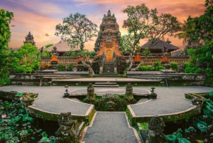 Bali: Ubud day tour