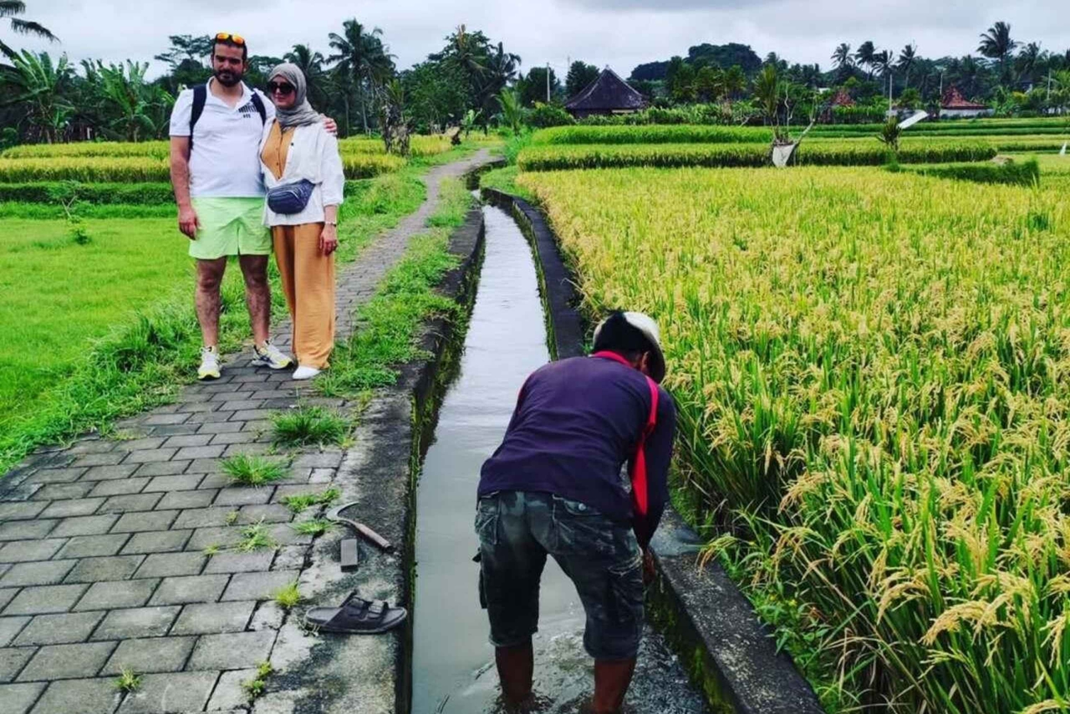 Bali: Ubud Electric Fat goBike Tour with Lunch & Pickup