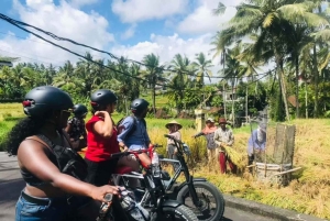 Bali: Ubud Electric Fat goBike Tour with Lunch & Pickup