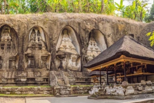 Bali: Ubud full Day Private Tour