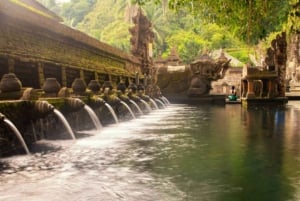 Bali: Ubud tour de día completo en privado