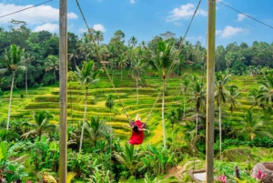 Bali: Tour particular em Ubud