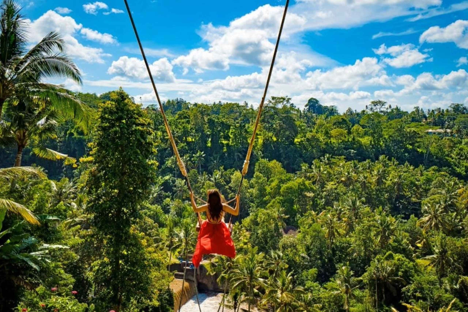 Bali: Ubud Full-Day Tour with Entry Tickets & Guide