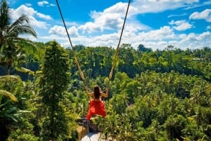 Bali: Ubud Full-Day Tour with Entry Tickets & Guide