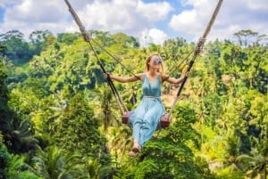 Bali: Ubud Full-Day Tour with Entry Tickets & Guide