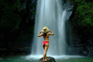 Bali : Ubud Highlight Tour Waterfall, Temple ana Swing