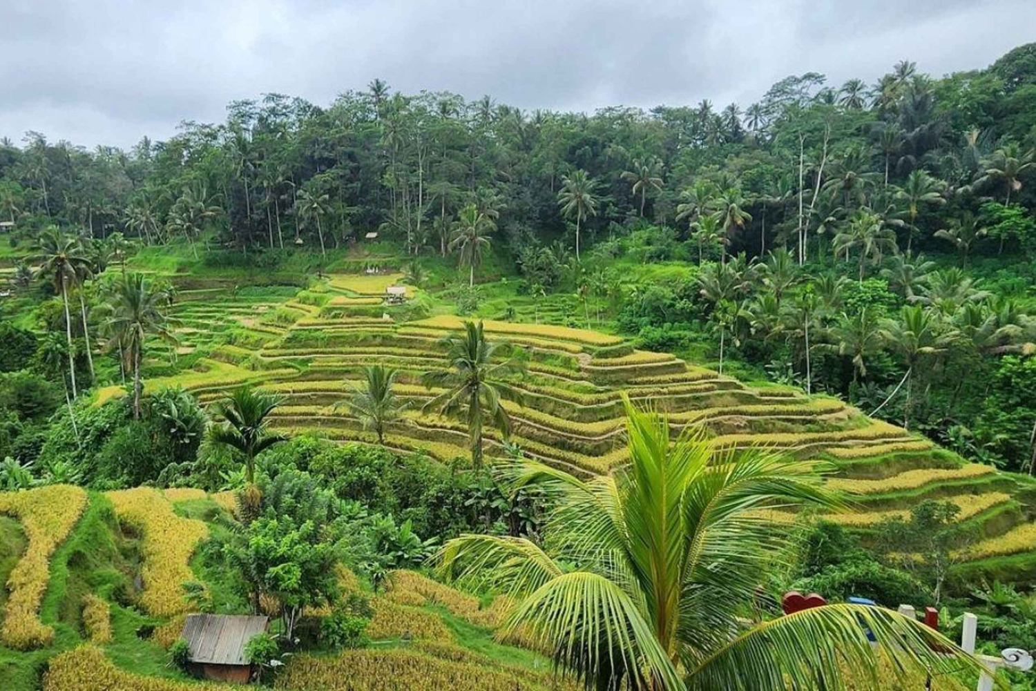 Bali: Ubud Highlight Tour With Flexible Itinerary Options