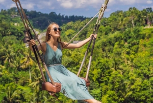 Bali: Ubud Highlight Tour With Flexible Itinerary Options