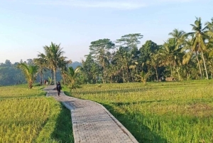 Bali: Ubud Highlight Tour With Flexible Itinerary Options