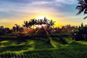 Bali: Ubud Highlight Tour With Flexible Itinerary Options