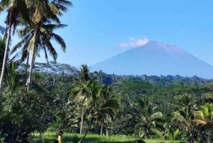 Bali: Ubud Highlight Tour With Flexible Itinerary Options