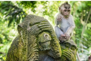 Bali: Ubud Highlight Tour With Flexible Itinerary Options