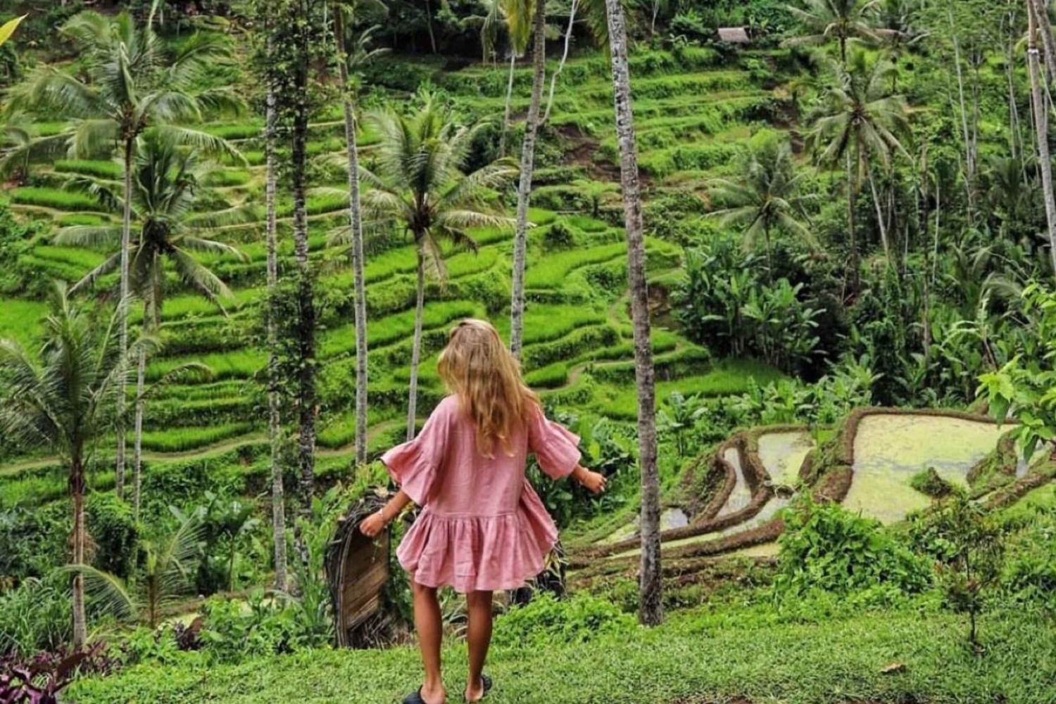 Bali: Ubud Monkey Forest, Rice Terraces, Temple, Waterfall