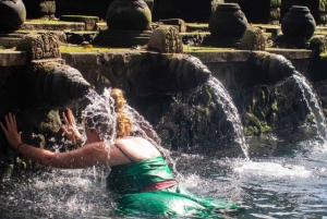 Bali: Ubud Monkey Forest, Rice Terraces, Temple, Waterfall
