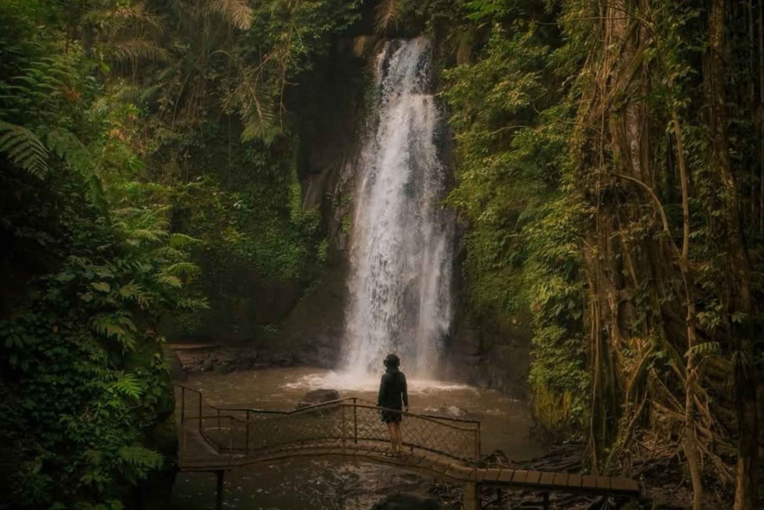 Bali: Ubud Instagrammable Private Tour with Jungle Swing