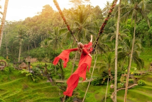 Bali: Ubud Instagrammable Private Tour with Jungle Swing
