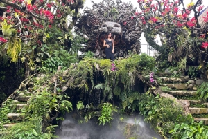 Bali: Ubud Instagrammable Private Tour with Jungle Swing