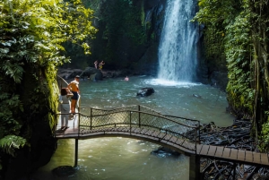 Bali: Ubud Instagrammable Private Tour with Jungle Swing