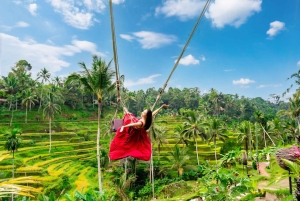 Bali: Ubud Instagrammable Private Tour with Jungle Swing