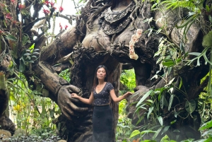 Bali: Ubud Instagrammable Private Tour with Jungle Swing
