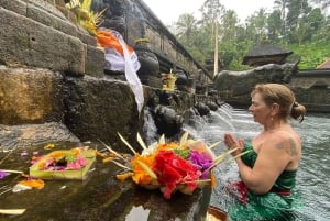 ウブド：水神殿、棚田、滝、プライベートツアー