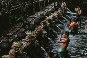 Bali : Ubud Magnificent Sight Private Tour