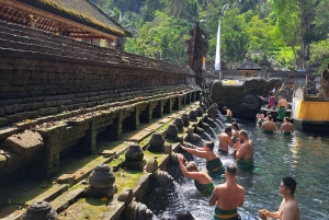 Bali : Tour privato di Ubud Magnificent Sight