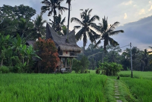 Bali : visite privée de Ubud Magnificent Sight