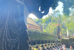 Bali : Tour privato di Ubud Magnificent Sight