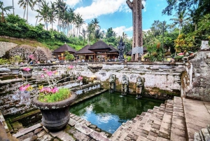 Bali: Ubud, Foresta delle Scimmie, Antico Tempio e Cascate