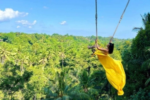 Bali: Ubud, Foresta delle Scimmie, Antico Tempio e Cascate