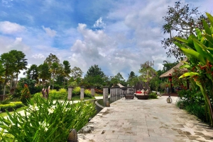 Bali: Ubud, Foresta delle Scimmie, Antico Tempio e Cascate