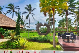 Bali: Ubud, Foresta delle Scimmie, Antico Tempio e Cascate