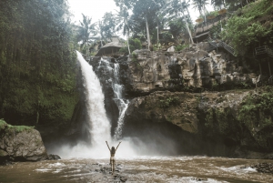 Bali: Privat tur i abeskoven i Ubud, luksusbil