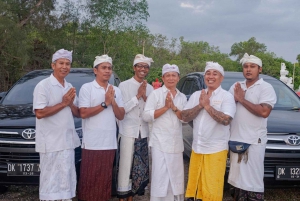 Bali: Privat tur i abeskoven i Ubud, luksusbil