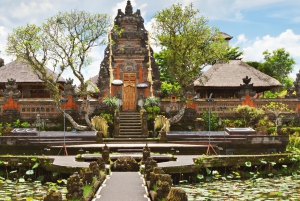 Bali: Privat tur i abeskoven i Ubud, luksusbil