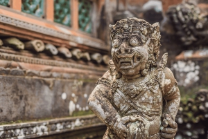 Bali: Privat tur i abeskoven i Ubud, luksusbil