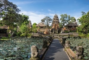 Bali: Privat tur i abeskoven i Ubud, luksusbil