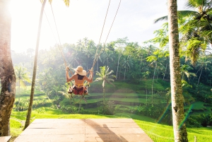 Bali: Privat tur i abeskoven i Ubud, luksusbil