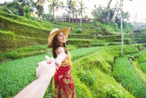 Bali: Privat tur i abeskoven i Ubud, luksusbil