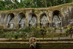 Bali: Privat tur i abeskoven i Ubud, luksusbil