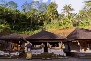 Bali: Privat tur i abeskoven i Ubud, luksusbil