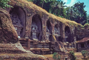 Bali: Privat tur i abeskoven i Ubud, luksusbil