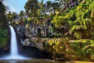 Bali: Privat tur i abeskoven i Ubud, luksusbil