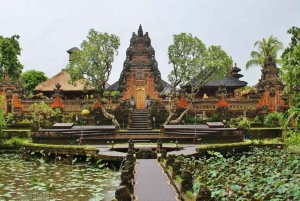 Bali:Ubud Monkey Forest,Rice Terrace,Waterfall & Temple Tour
