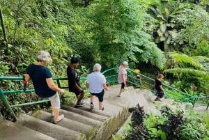 Ubud: Affenwald, Reisterrasse, Tempel & Wasserfall Tour